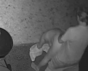 Tieners stiekem gefilmd als ze sex hebben in de achtertuin