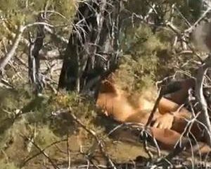 Gluurder filmt gay handjob